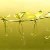 Nature - Lifes Balance - Realistic