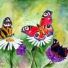 Nature - Butterflies On The Camomile - Conteporary